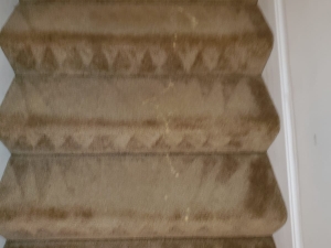 Bleach Spot Repair of Rental Property in Manassas, VA