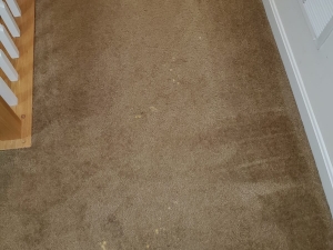 Bleach Spot Repair of Rental Property in Manassas, VA
