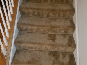 Bleach Spot Repair of Rental Property in Manassas, VA