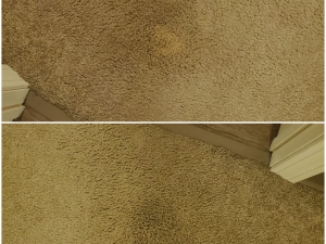 Bleach Spot Repair in Cleveland, OH College Suites
