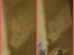 Bleach Spot Repair in Cleveland, OH College Suites