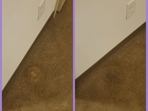 Bleach Spot Repair in Cleveland, OH College Suites