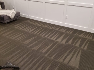 Carpet Cleaning in Great Falls, MD