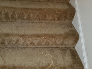 Bleach Spot Repair of Rental Property in Manassas, VA