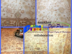 Area Rug Restoration
