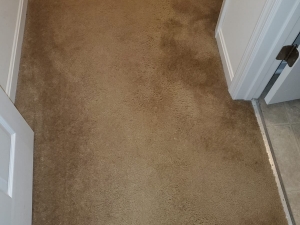 Bleach Spot Repair of Rental Property in Manassas, VA