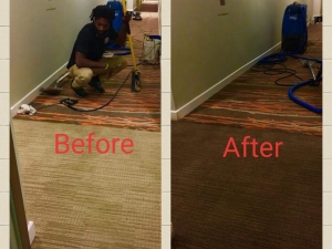 Colorful Carpets Designer Carpet Dyeing in a VA Hotel