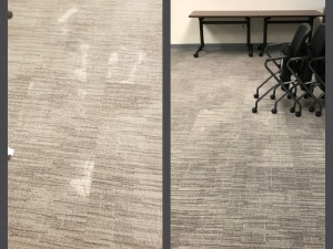 Grey Bleach Spot Repairs at Office Building in Alexandria, VA