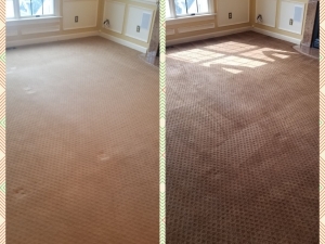 Whole Room Carpet Dyeing in Frederick, MD
