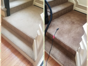 Whole Room Carpet Dyeing in Frederick, MD