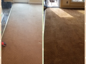 Whole Room Carpet Dyeing in Frederick, MD