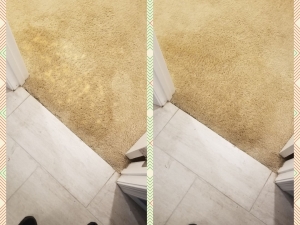 Bleach Spot Repair in Germantown, MD