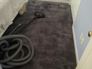 Carpet Color Change in Midlothian, VA