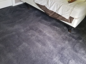 Carpet Color Change in Midlothian, VA
