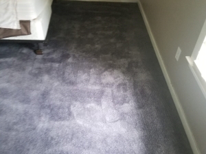 Carpet Color Change in Midlothian, VA