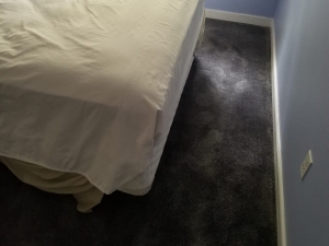 Carpet Color Change in Midlothian, VA