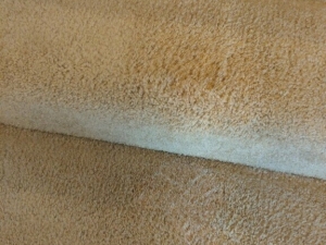 Bleach Spot Removal in Fredericksburg, VA