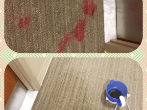 Red Carpet Stain Removal in Bethesda, MD