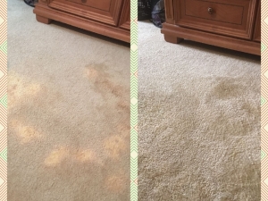Bleach Spot Removal in Arlington, VA