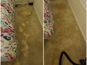 Bleach Spot Removal in Prince Frederick, MD