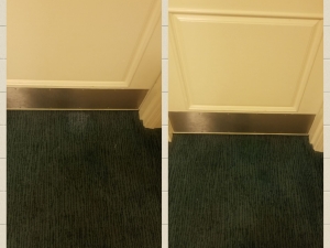 Bleach Spot Repair in Richmond, VA