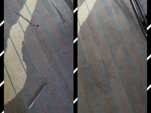 Red Stain & Hair Dye Removal in Camp Springs, MD Hotel