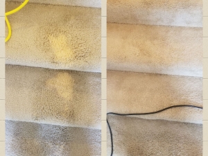 Bleach Spot Removal in Fredericksburg, VA
