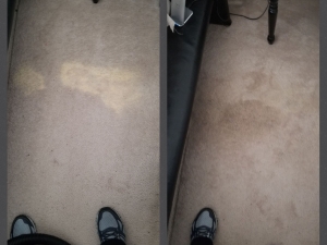 Bleach Spot Removal in Odenton, MD