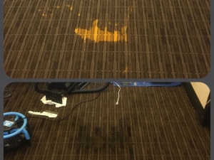 Bleach Spot Repair in Washington D.C. Office