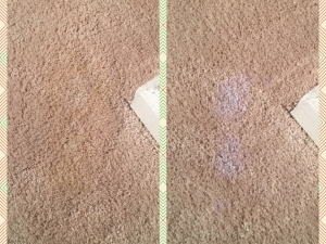 Stain Repair on Poly Carpet in Baltimore, MD