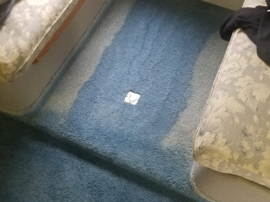 RV Carpet Dyeing in Tappahannock, VA