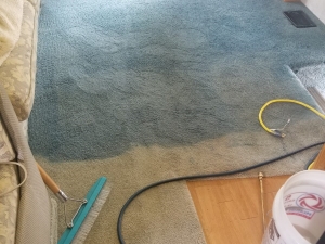 RV Carpet Dyeing in Tappahannock, VA