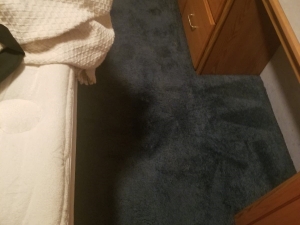 RV Carpet Dyeing in Tappahannock, VA