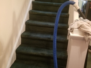 After - Bleach Spot Repair in Washington D.C.