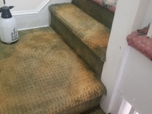 Before - Bleach Spot Repair in Washington D.C.