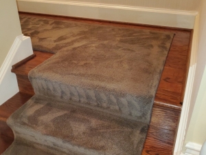 Carpet Stair Runner Color Change in Washington D.C.