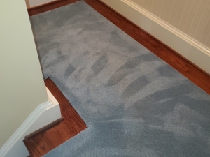 Carpet Stair Runner Color Change in Washington D.C.