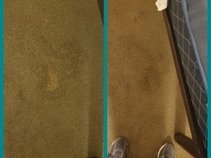 Bleach Spot Repair in Cleveland, OH College Suites