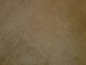 Bleach Spot Repair of Rental Property in Manassas, VA