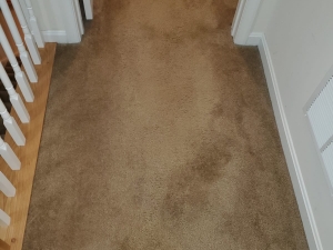 Bleach Spot Repair of Rental Property in Manassas, VA
