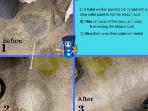 Bleach Spot Removal & Color Restoration