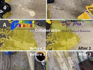 Carpet Dyeing Collaboration