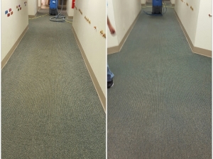 Dye Pro Carpet & Rug Restoration - Annapolis, MD
