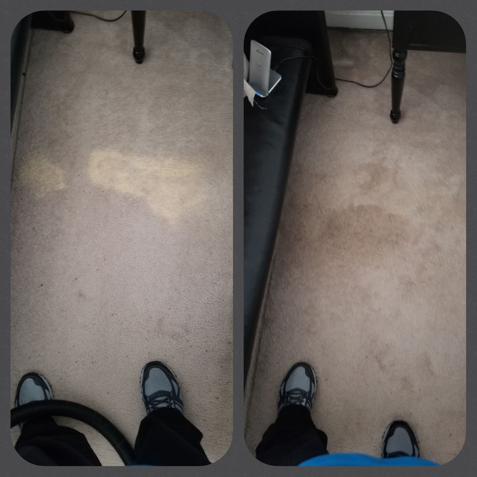 Bleach Spot Removal in Odenton, MD