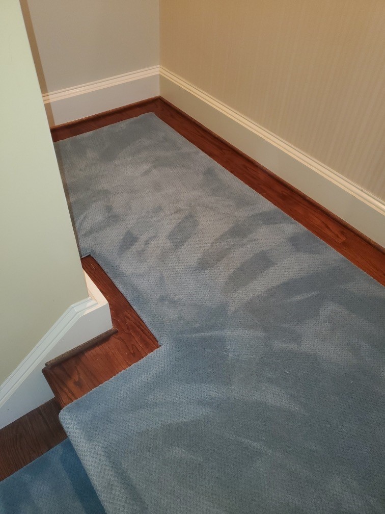 Carpet Stair Runner Color Change in Washington D.C.