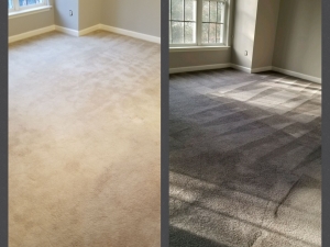 Whole Room Carpet Dyeing - Arlington, VA